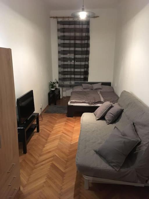 Utulne Ubytovani U Centra V Blizkosti Vystaviste Brno Dış mekan fotoğraf